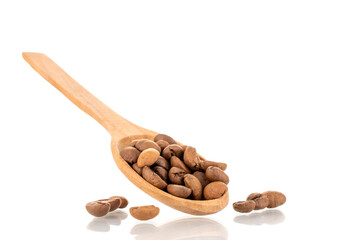 Several fragrant freshly roasted coffee beans with a wooden spoon, close-up, isolated on white.