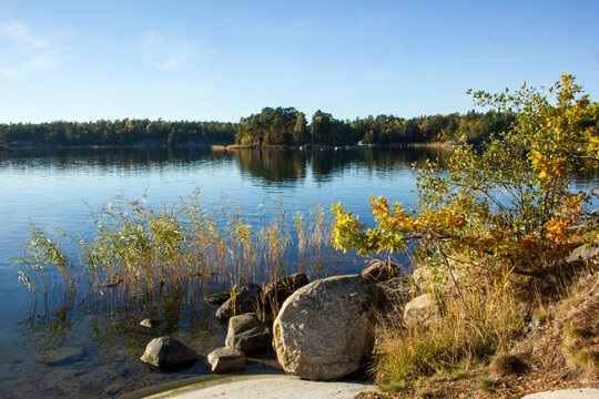 Autumn in the archipelago. Clear water and orange leaves on trees in sunny bay.