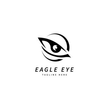 Eagle Eye Logo. Sharp Vision Logo Flat Design vector Template Element