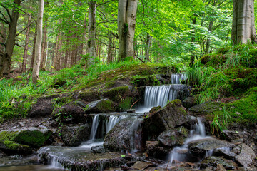 Wodospad w lesie