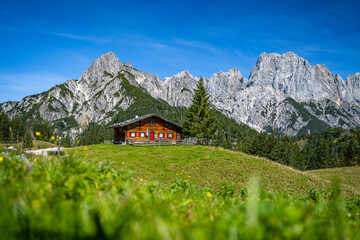 Green alpine meadow with wooden hut in front of impressive mountain peaks, Salzburg, Austria, Europe