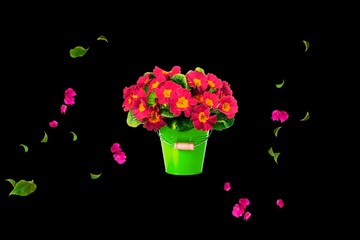 3d render illustration, Amazing picture of flowers