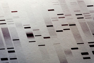 Digital illustration of DNA test and genome map sequence on paper in perspective view.