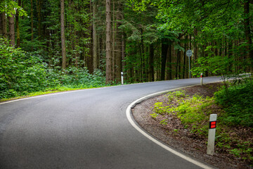 Droga w lesie - Góry Stołowe © Micha