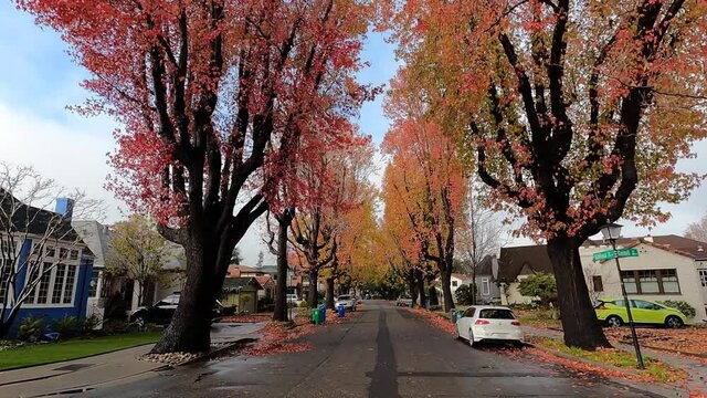 4K HD video driving POV down residential street with mixed architecture houses and historic lined with tall sweet gum trees, Blue sky with white clouds. 
