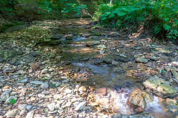summer morning, walking along the bed of a mountain river that has become shallow by the beginning...