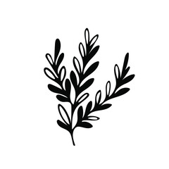 Fototapeta na wymiar One hand drawn floral element. black vector plant element for design. Doodle isolated on white