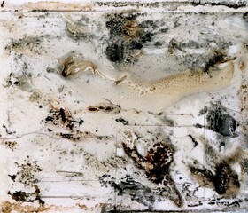 Abstract detailed grayscale dirty and grunge photographic chemicals scan texture overlay layer.