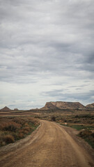 The Bardenas Reales is a semi-desert natural region, or badlands, of some 42,000 hectares in southeast Navarre.