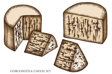 Cheese hand drawn vector illustrations collection. Colored gorgonzola.
