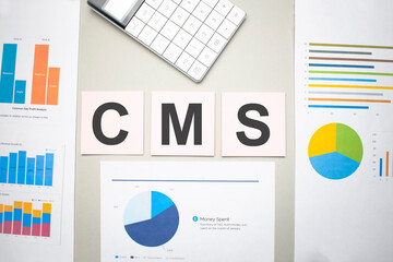 cms business, search engine optimazion,Text on the sheets of paper, charts and white calculator