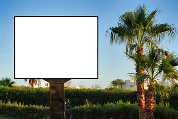 Blank horizontal billboard on the streets . Near palm trees and beautiful nature