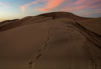 Footprints, Great Sands Dunes National Park, Colorado - 479226499