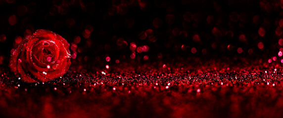 Valentines day background with red rose and bokeh texture. Happy valentine greeting card design. Flower present for special romantic celebration event.