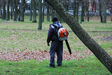 worker with industrial garden vacuum cleaner removes leaves in the park. blower.