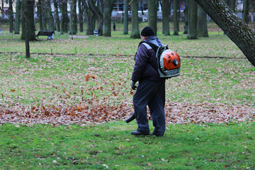 worker with industrial garden vacuum cleaner removes leaves in the park. blower.