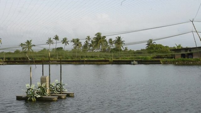 Man made fish and prawn farming farms located in Goa which rear and breed fish and prawns and shrimps for local consumption and export