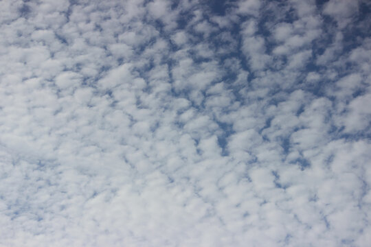 blue sky with cirrus clouds. evenly distributed white clouds over a blue and light blue background