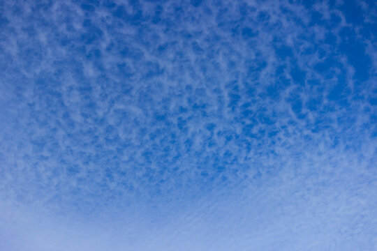 blue sky with cirrus clouds. evenly distributed white clouds over a blue and light blue background
