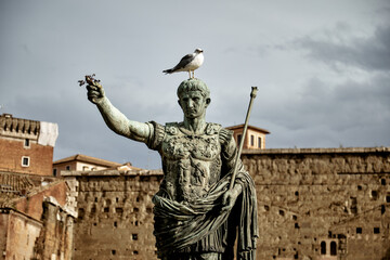Statue of Emperor Augustus, Day, with bird, Rome