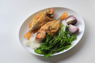 White background. Fried coral fish on plate
