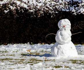 Simple snowman with carrot nose and stick arms in front of winter hedge with snow - Copyspace.