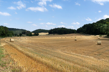 Fototapeta na wymiar Farm field with hay bales or rolls, rural nature with hills and trees