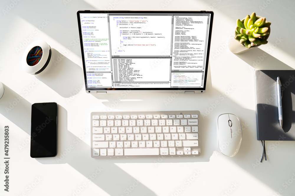 Wall mural web development coding on laptop