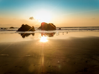 The sun disappears behind some rocks, illuminating the sky and ocean while some birds hang out on the beach