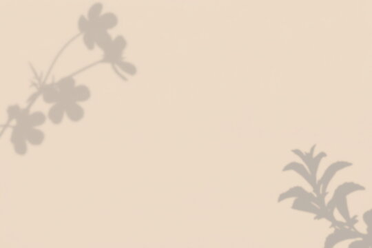 Leaves Flower Gray Shadow Overlay Texture Background Mock Up With Copy Space