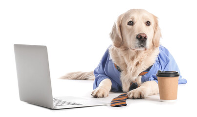 Business dog with laptop and cup of coffee on white background