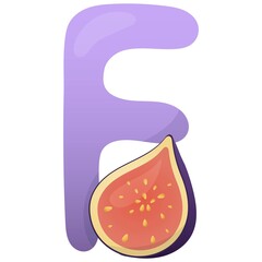 Letter F and figs on a white background, training card. English vocabulary and alphabet, vector for children