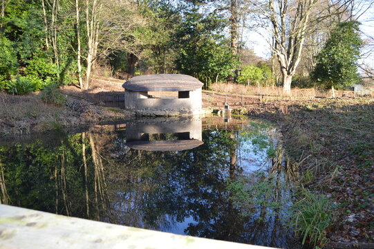 Old Retting Pond for Flax Mill at Silverburn Park, Leven, Fife, Scotland with bird hide of mud and straw
