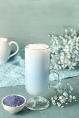 Glass of blue matcha latte , powder and gypsophila flowers on table