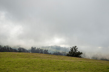 Foggy weather in the Haleakala National Park in Hawaii