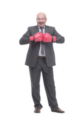 businessman in Boxing gloves. isolated on a white background.