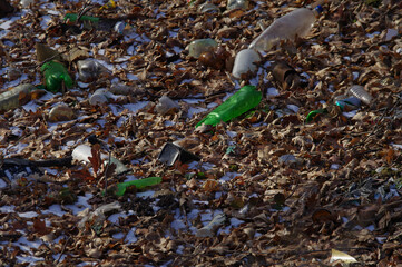 Śmieci porzucone przez ludzi w lesie. Nielegalne wysypisko. - obrazy, fototapety, plakaty