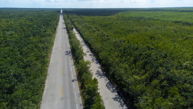 Highway road drive through dense jungle foliage on the south side of tropical Caribbean island Cozumel, Mexico in Quintana roo. The jungle is thick with palm trees.