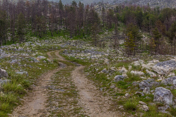 Landscape of Lovcen national park, Montenegro