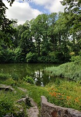 lake in the forest