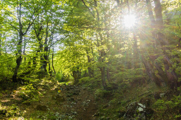 Fototapeta na wymiar Hiking trail in Durmitor mountains, Montenegro
