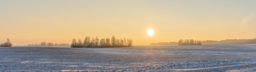 Winter landscape in snow nature with sun, field and trees. Magical winter sunset in a snow field.