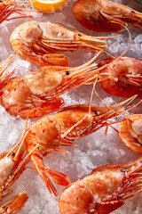 large shrimps on crushed ice
