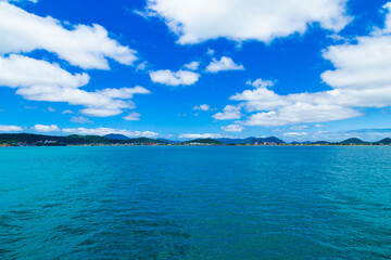 Fototapeta premium CANASVIEIRAS