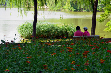 A couple in front of Hanoi lake on Sunday afternoon
