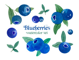 Watercolor set with natural fresh blueberries