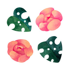 Watercolor flower set - green monstera leaves and pink peony on white background