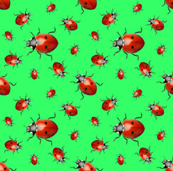 Many red ladybugs on green background, flat lay