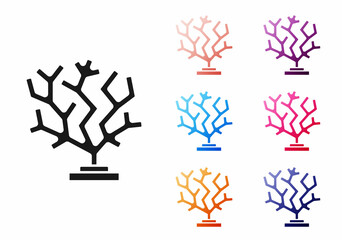 Black Coral icon isolated on white background. Set icons colorful. Vector