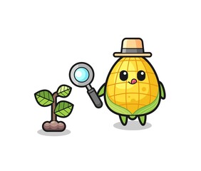 cute corn herbalist researching a plants